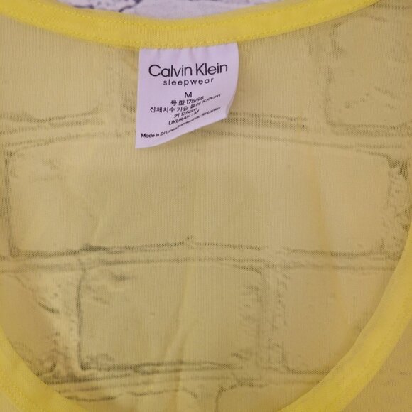 Reimagined Heritage Pride Sheer Sleep Tank Top - Picture 4 of 5